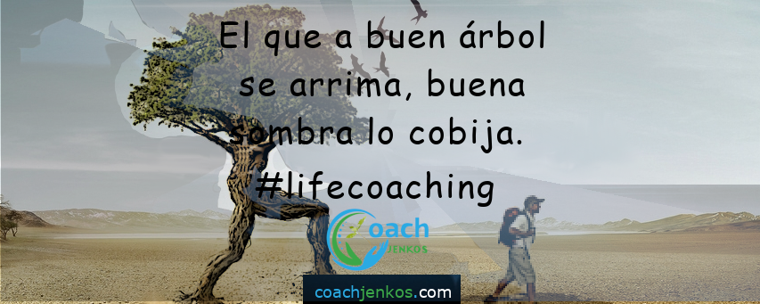 El que a buen árbol se arrima, buena sombra lo cobija. #lifecoaching